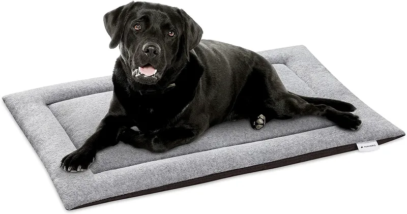 Navaris Travel Dog Bed - Μαξιλάρι / Κρεβάτι για Κατοικίδια - 63 x 40 cm - Grey (54008.22.2)