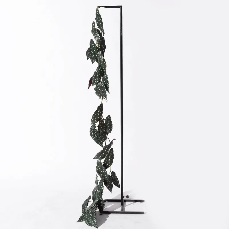 Supergreens Τεχνητή Γιρλάντα Μπιγκόνια Maculata Πράσινη 170 εκ.