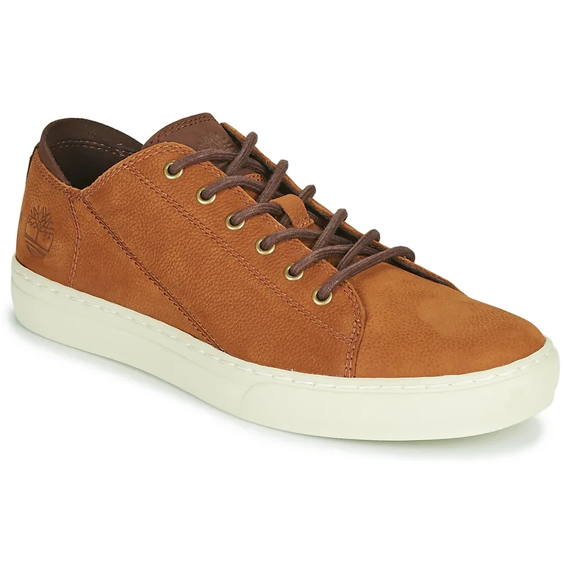 Xαμηλά Sneakers Timberland ADV 2.0 CUPSOLE MODERN OX