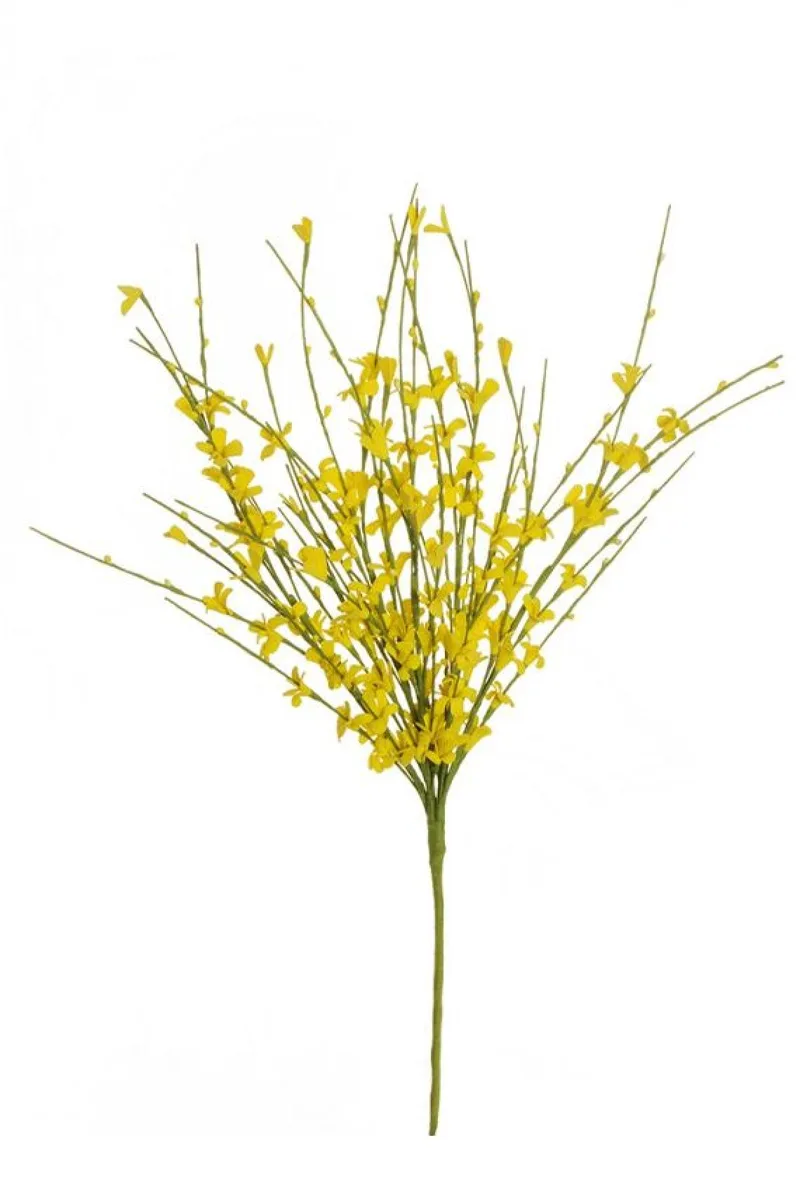 Κλαδι Genistae Με Κιτρινα Ανθη 47Cm 0x0x47cm Μονόχρωμο Evergreens