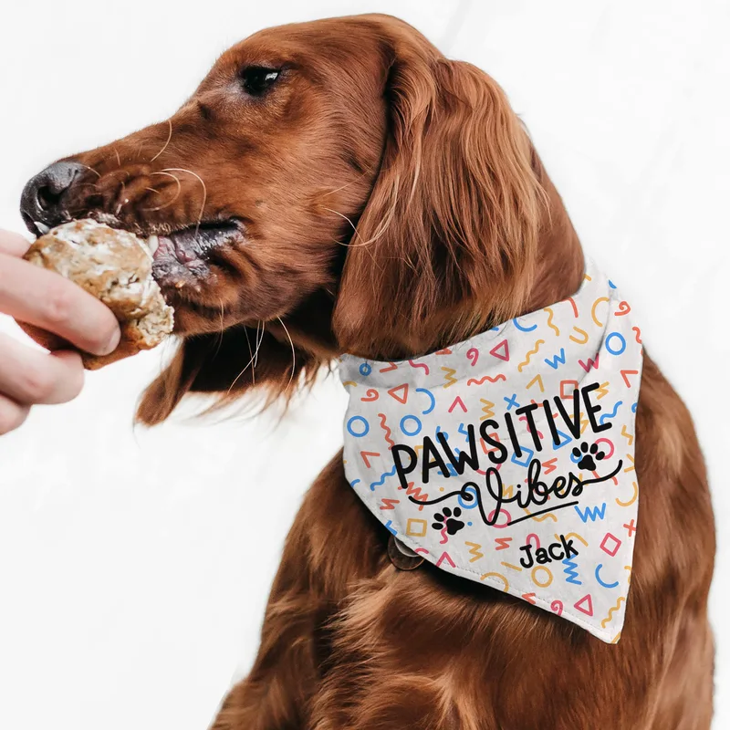 Pawsitive Vibes - Μπαντάνα