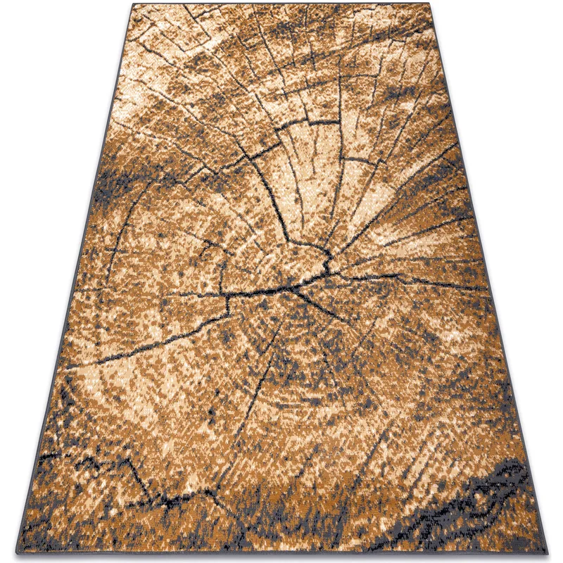 Χαλιά Rugsx Μοκέτα BCF Morad PIEŃ Ξύλο δέντρο 240x340 cm