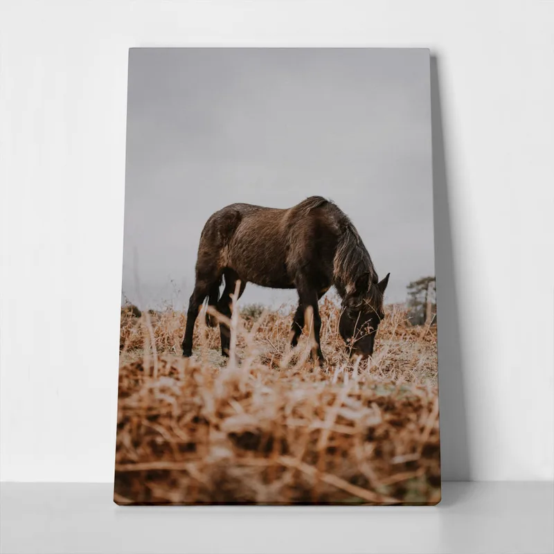 Πίνακας σε Καμβά RUSTIC FARMHOUSE HORSE 3