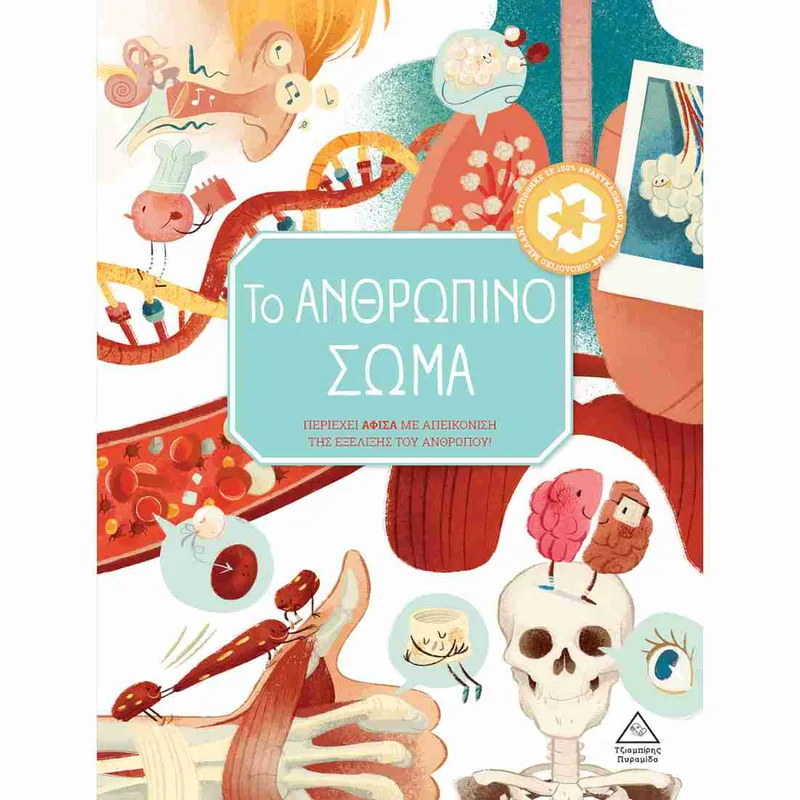 Το Ανθρώπινο σώμα