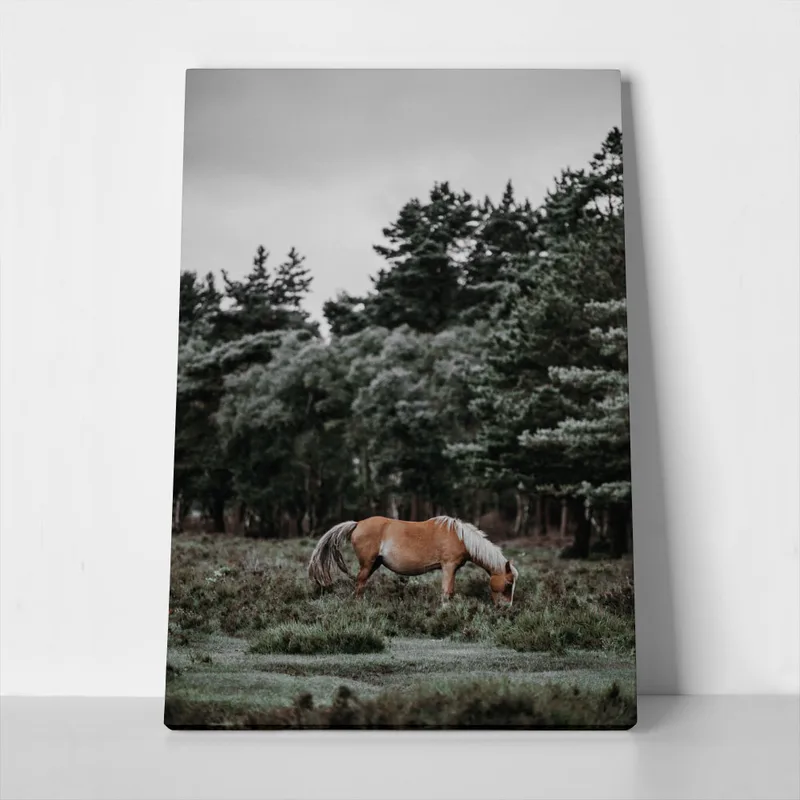 Πίνακας σε Καμβά RUSTIC FARMHOUSE HORSE 2
