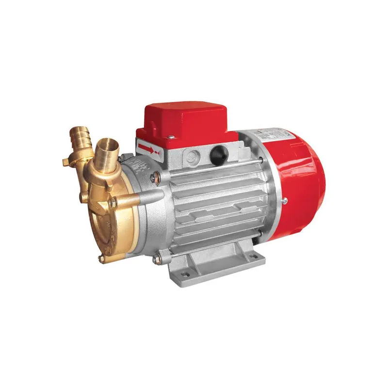 ηλεκτραντλια rover marina 20-12v 2850rpm