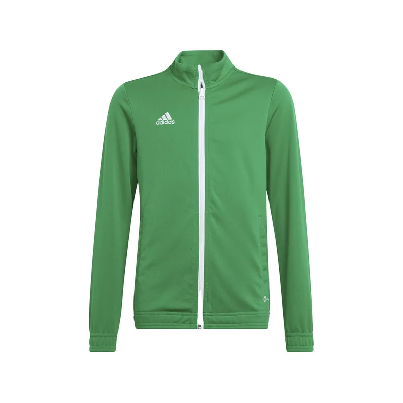Ζακέτα adidas Veste de survêtement entrada 22 vert/blanc
