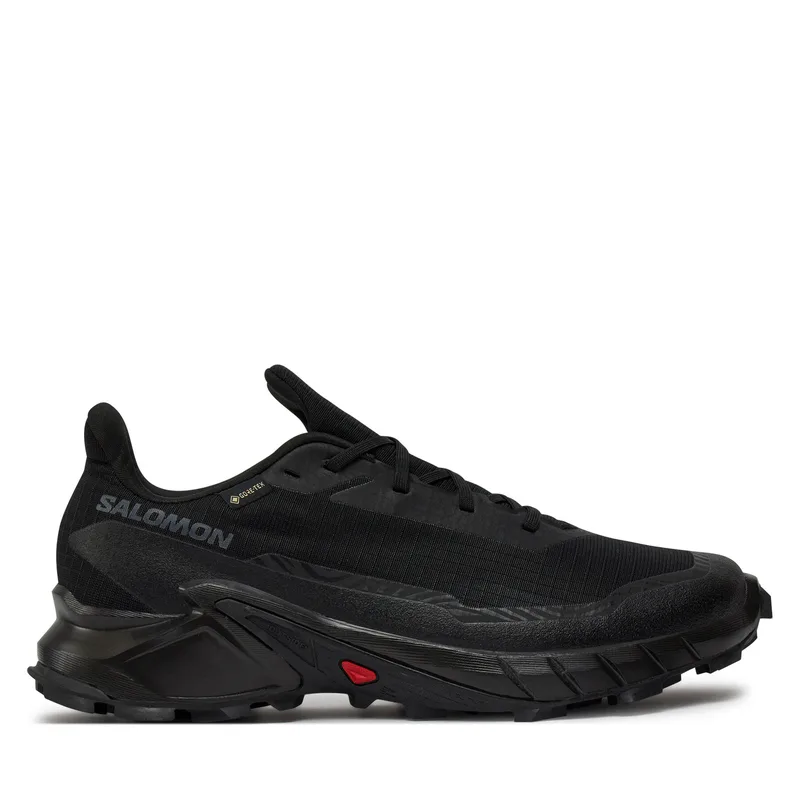 Παπούτσια για Τρέξιμο Salomon Alphacross 5 Gore-Tex L47307500 Μαύρο