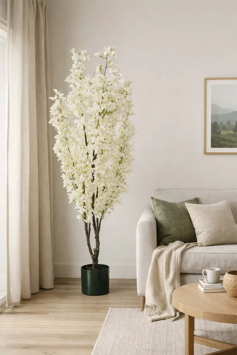 Μπουκαμβιλια Με Λευκα Ανθη Σε Γλαστρα 180CM 0x0x180cm Μονόχρωμο Evergreens