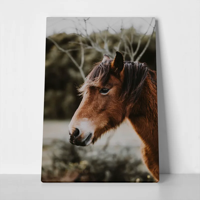 Πίνακας σε Καμβά RUSTIC FARMHOUSE HORSE 6