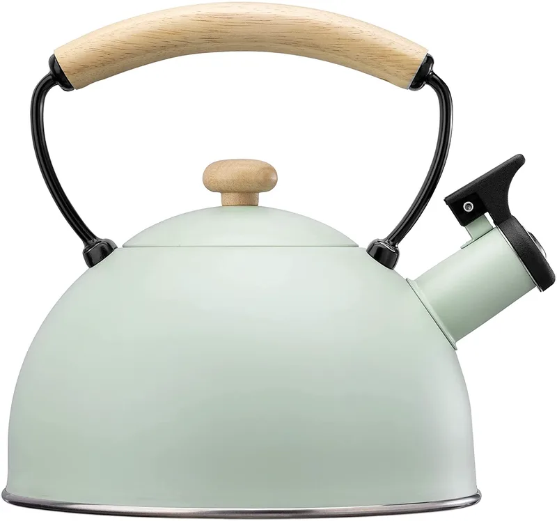 Navaris Whistling Kettle - Βραστήρας από Ανοξείδωτο Ατσάλι - 2.3L - Mint Green (54009.01)