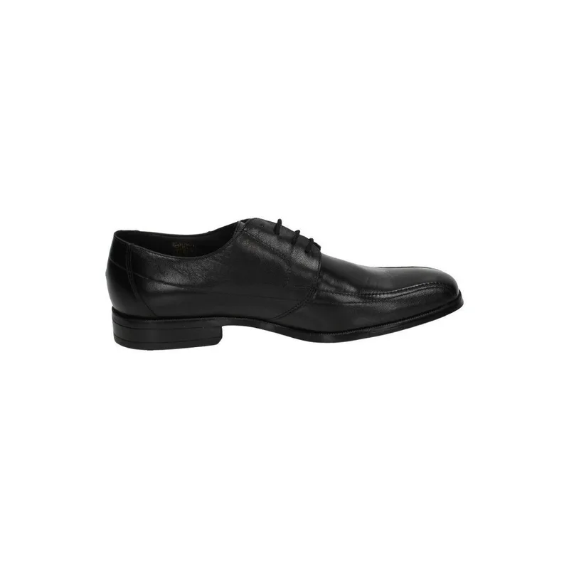Oxfords Baerchi -
