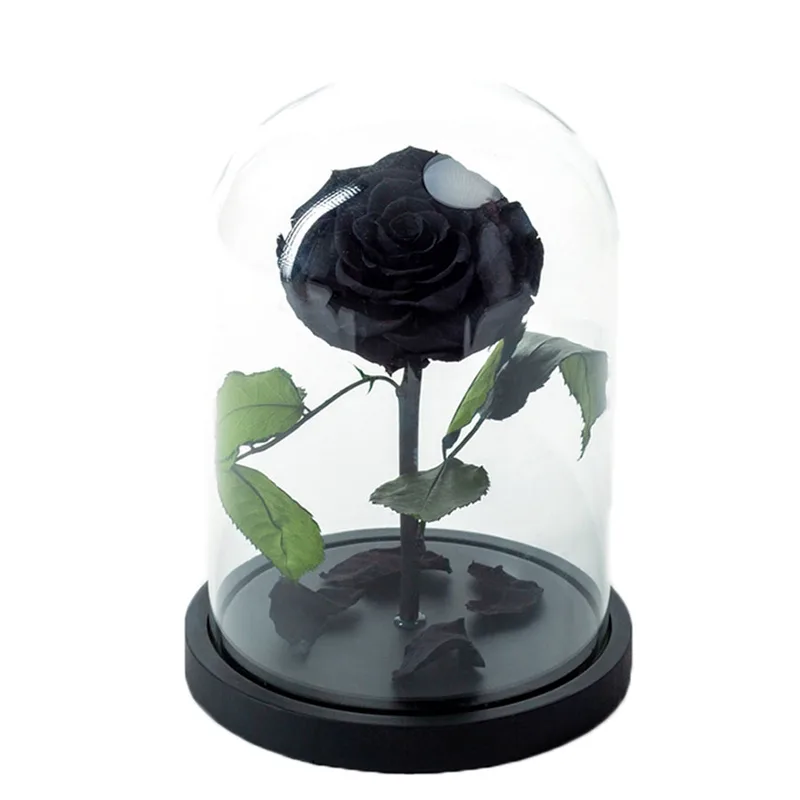 Beauty & The Beast Μαύρο Deluxe 18x25cm