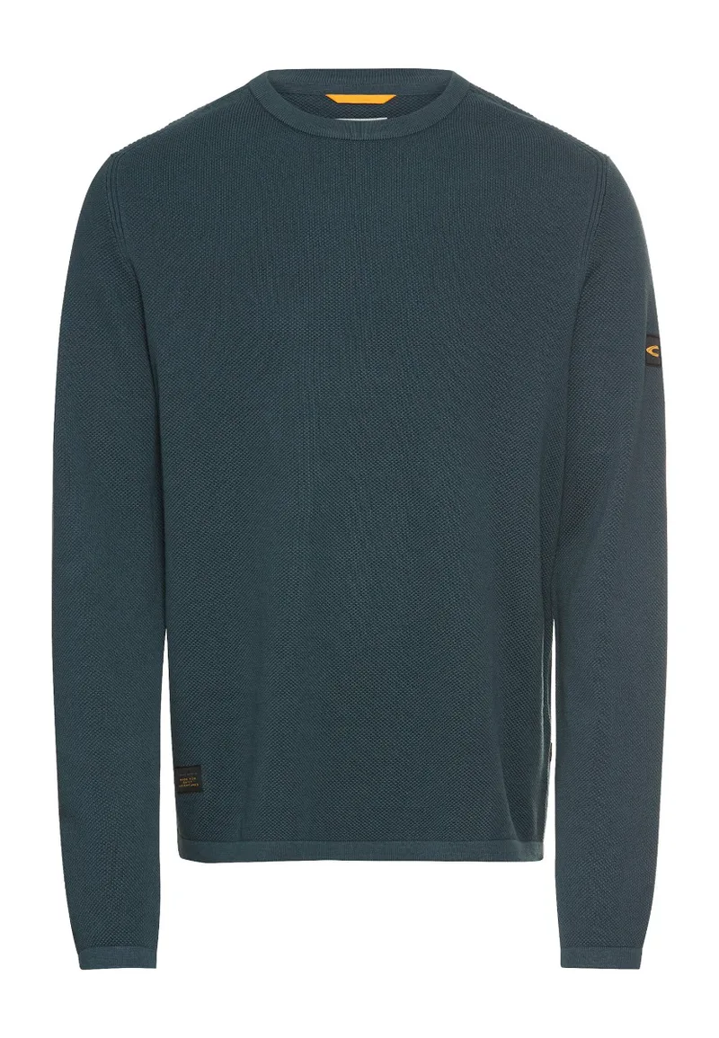 ΑΝΔΡΙΚΟ ΠΛΕΚΤΟ CAMEL ACTIVE PULLOVER CREWNECK ΚΑΝΟΝΙΚΗ ΓΡΑΜΜΗ ΜΠΛΕ