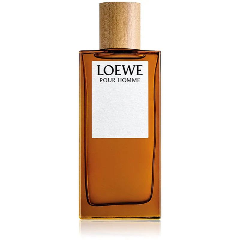 Loewe Loewe Pour Homme Eau de Toilette για άντρες 100 ml