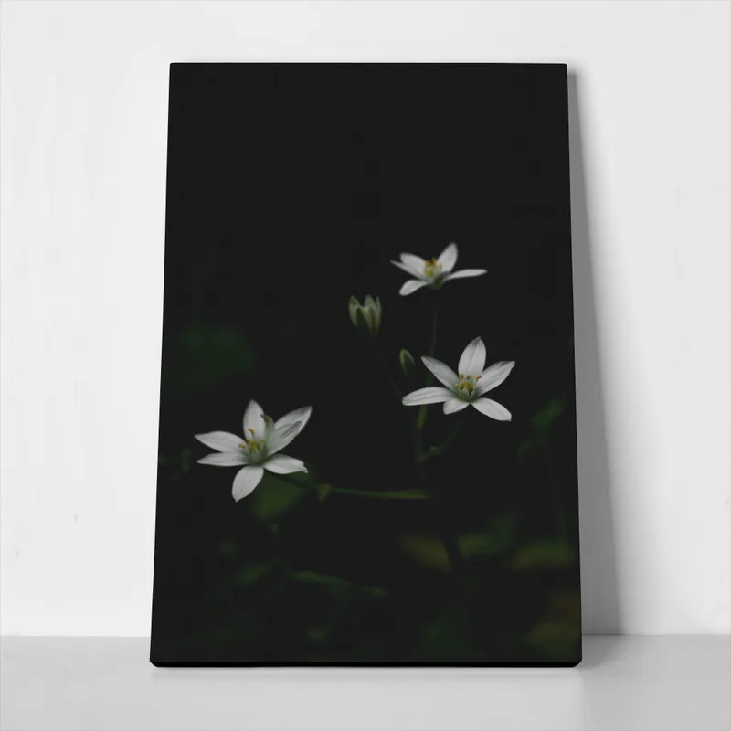 Πίνακας σε Καμβά RUSTIC FARMHOUSE FLOWERS 3