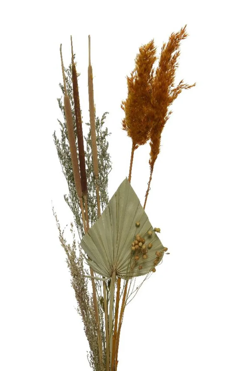 Μπουκετο Αποξηραμενο 5x12x65cm Καφέ Kaeming