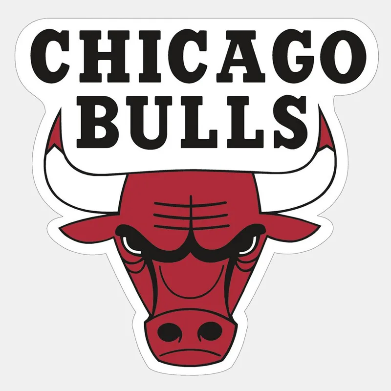 Wincraft Nba Prc Mag Cd C Bulls (9000179090_16406)
