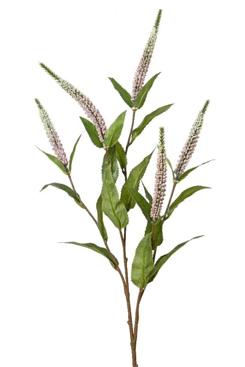 Κλαδι Salvia Με Ροζ Λουλουδια 20x12x70cm Μονόχρωμο Kaeming