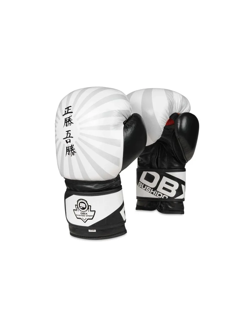 10oz Boxing Gloves Japan Valor Series