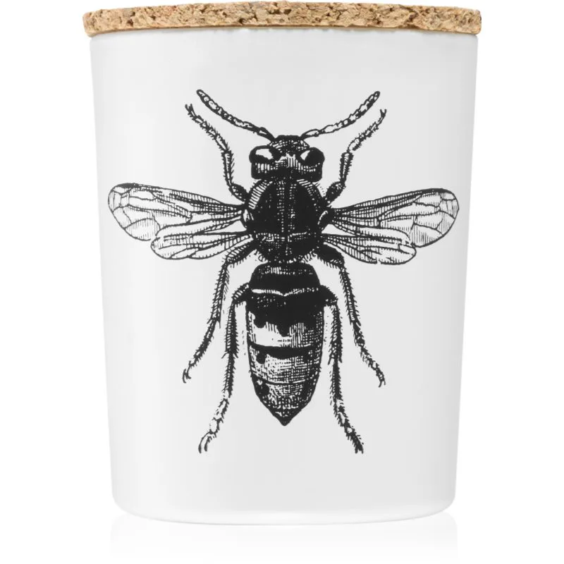 Vila Hermanos Insect Calabrone αρωματικό κερί 75 γρ