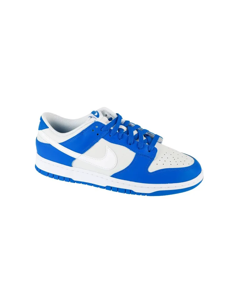 Nike Dunk Low FN3416001