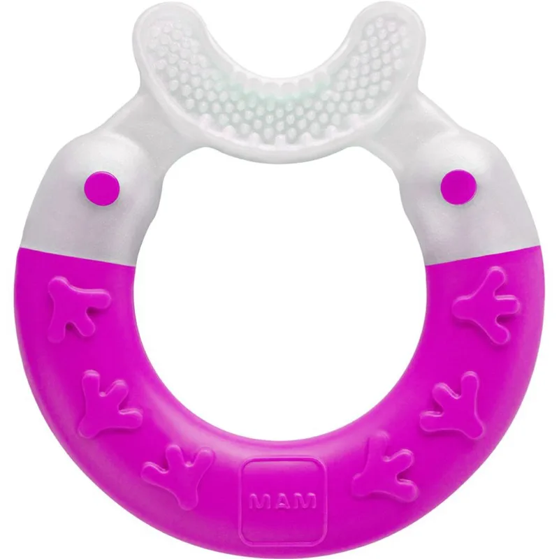 Mam Bite & Brush Teether 3m+ ΜωβΠολυκρίκος Οδοντοφυΐας για Καθαρισμού Δοντιών & Μασάζ στα Ευαίσθητα Ούλα για Μωρά από 3 Μηνών 1 Τεμάχιο, Κωδ 560