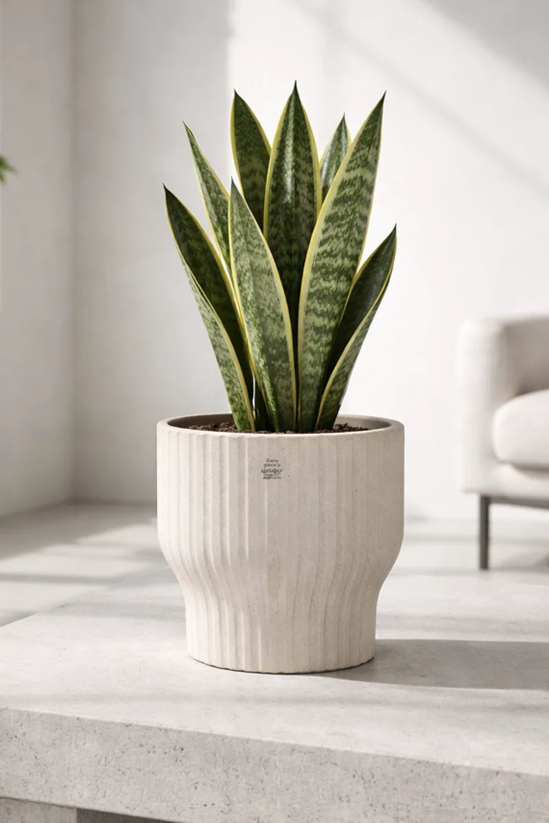 Κασπω Απο Ανακυκλωμενη Τερακοτα Λευκο 22Cm 22x22x24cm Μονόχρωμο Kaeming