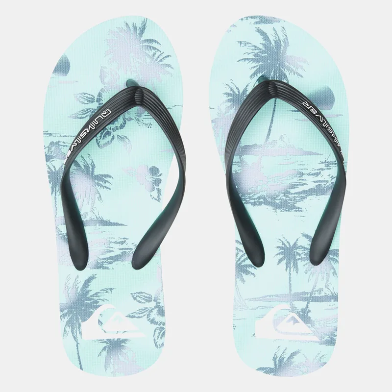 Quiksilver Molokai Air Flow Ανδρικές Σαγιονάρες (9000147364_68627)
