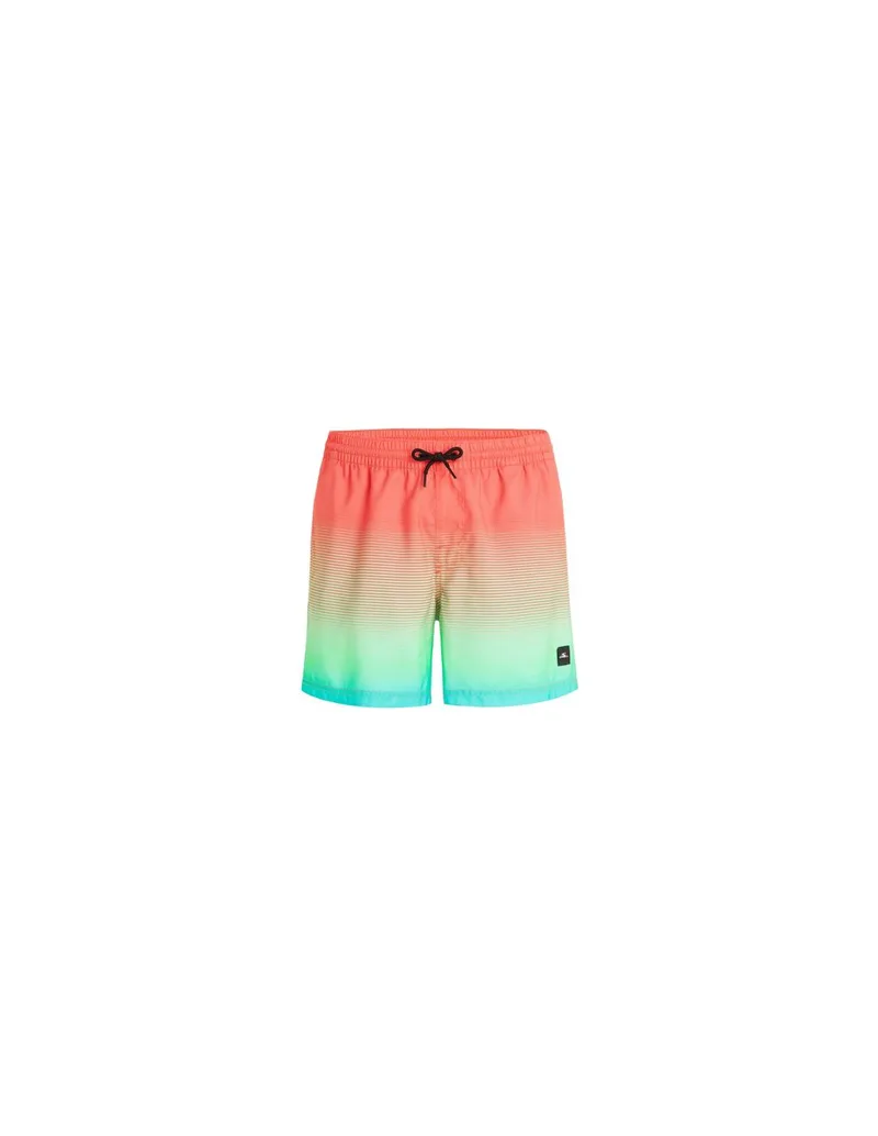 O'Neill Jack Cali Gradient 15'' Swim Shorts M 92800613575