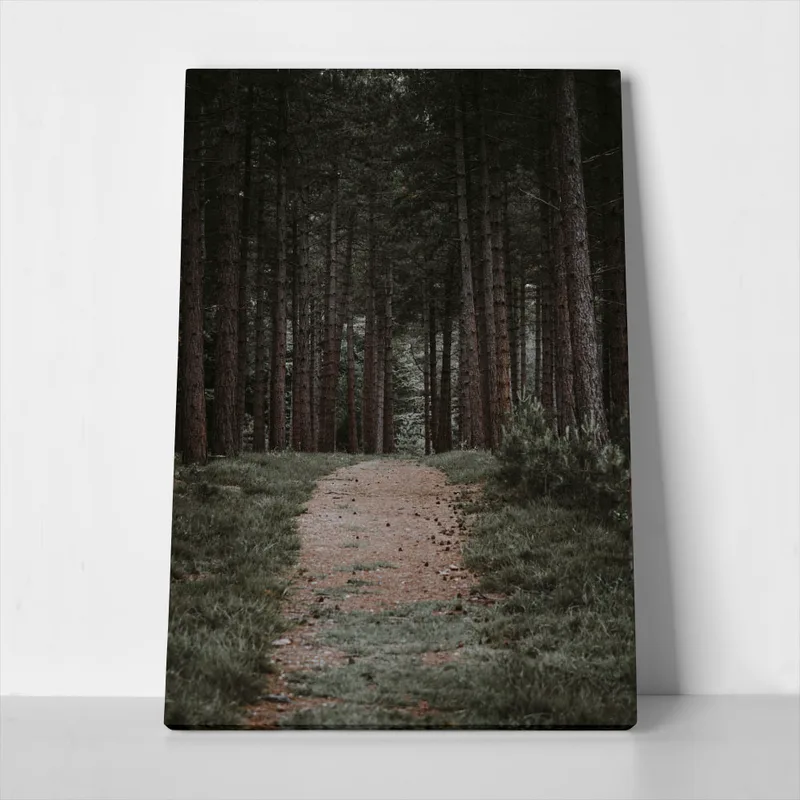 Πίνακας σε Καμβά RUSTIC FARMHOUSE FOREST PATH
