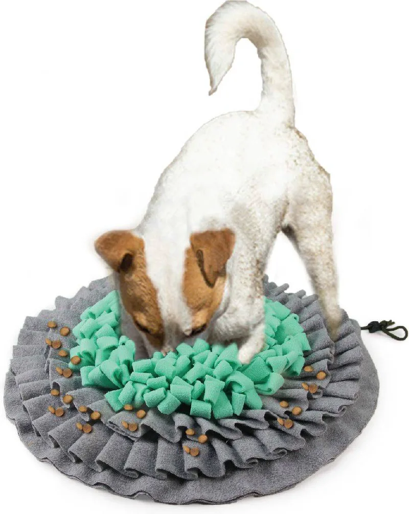 ΠΑΙΧΝΙΔΙ ΣΚΥΛΟΥ AFP DIG IT TREAT MAT (48X48X5CM)