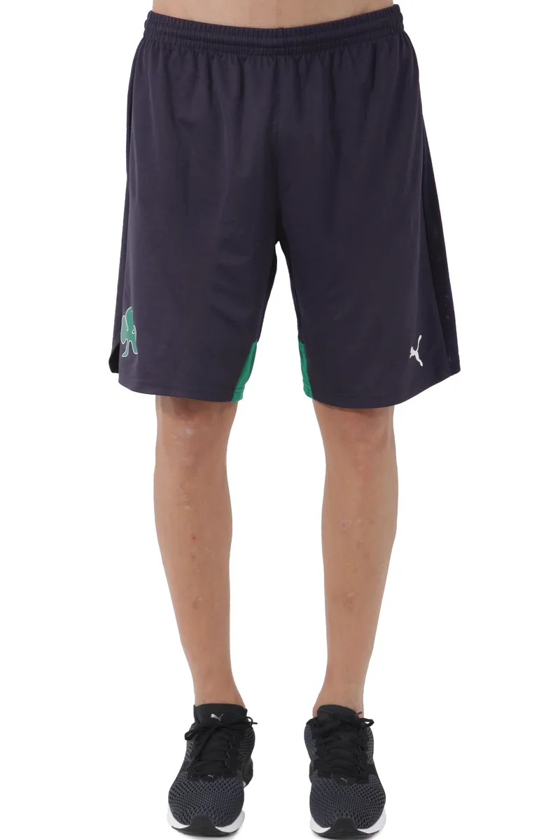 Panathinaikos Puma Σορτς 749562-02-02 Ανδρικό