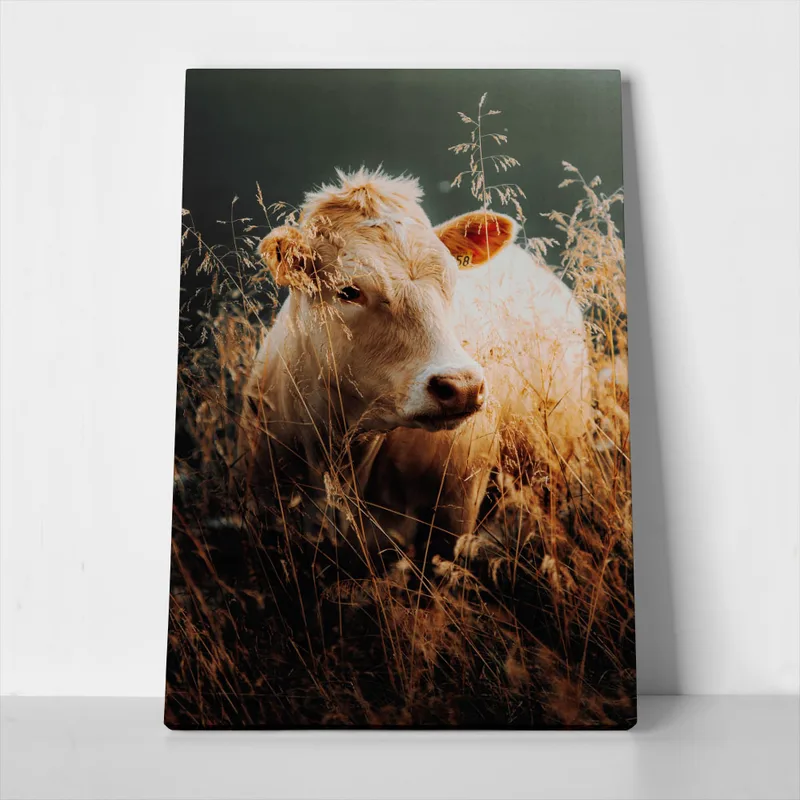Πίνακας σε Καμβά RUSTIC FARMHOUSE COW 5