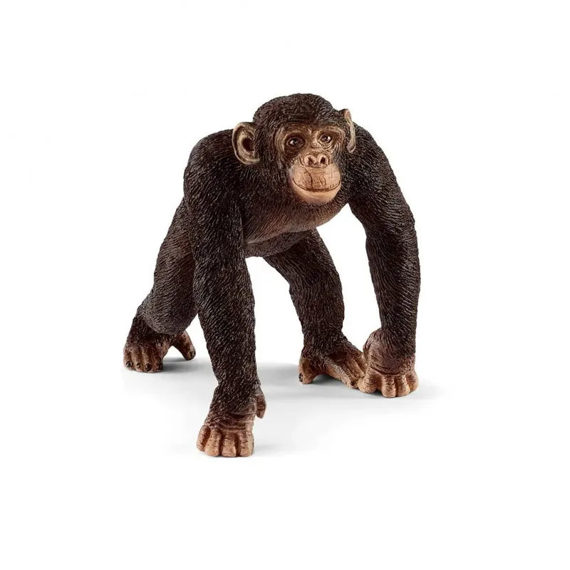Μινιατούρα Schleich Χιμπατζής Αρσενικός 14817