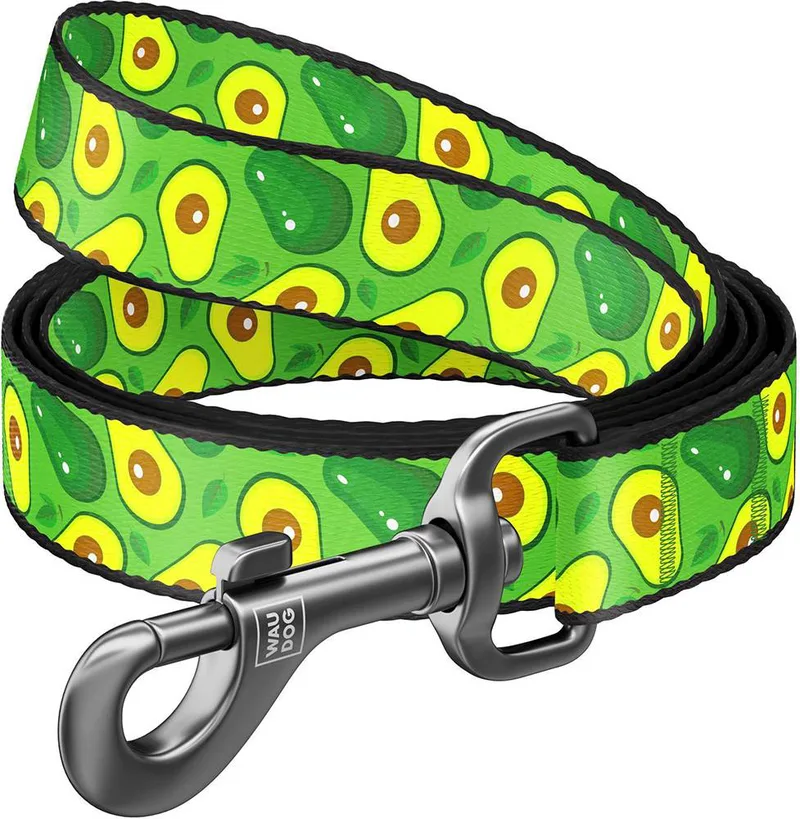 ΛΟΥΡΑΚΙ WAUDOG AVOCADO (10MM X 122CM)