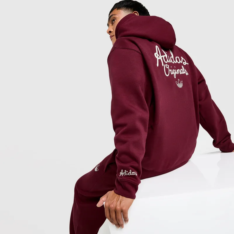 adidas Originals Graphics Ανδρική Μπλούζα Με Κουκούλα (9000237212_67058)