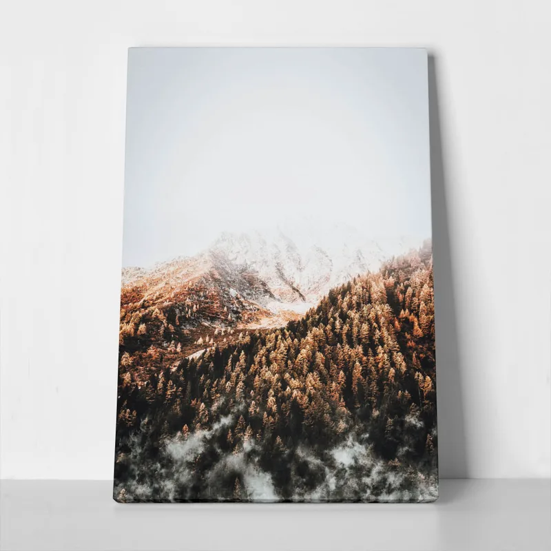Πίνακας σε Καμβά RUSTIC FARMHOUSE SNOWY MOUNTAIN 2