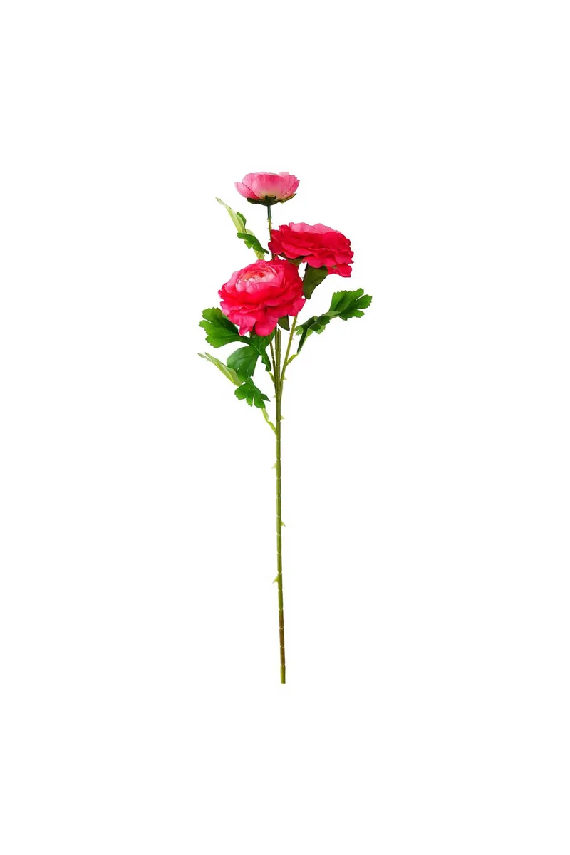 DOMUS HOMUS διακοσμητικό κλαδί νεραγκούλας 70 cm - 20-31-302