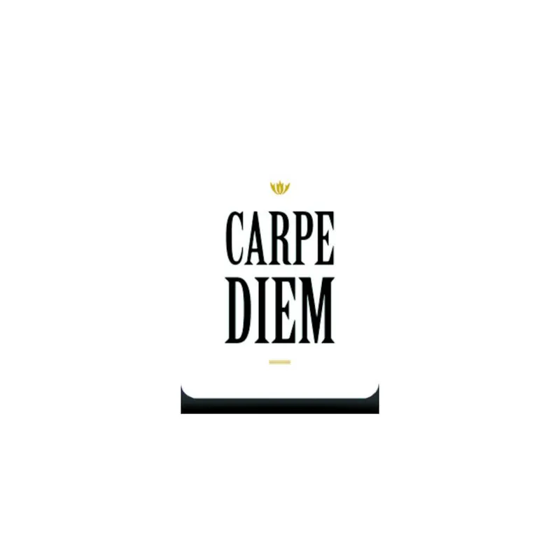 ΜΠΛΟΚ ΣΗΜΕΙΩΣΕΩΝ PICTURA ΜΑΓΝΗΤΙΚΟ CARPE DIEM 10x7.5cm