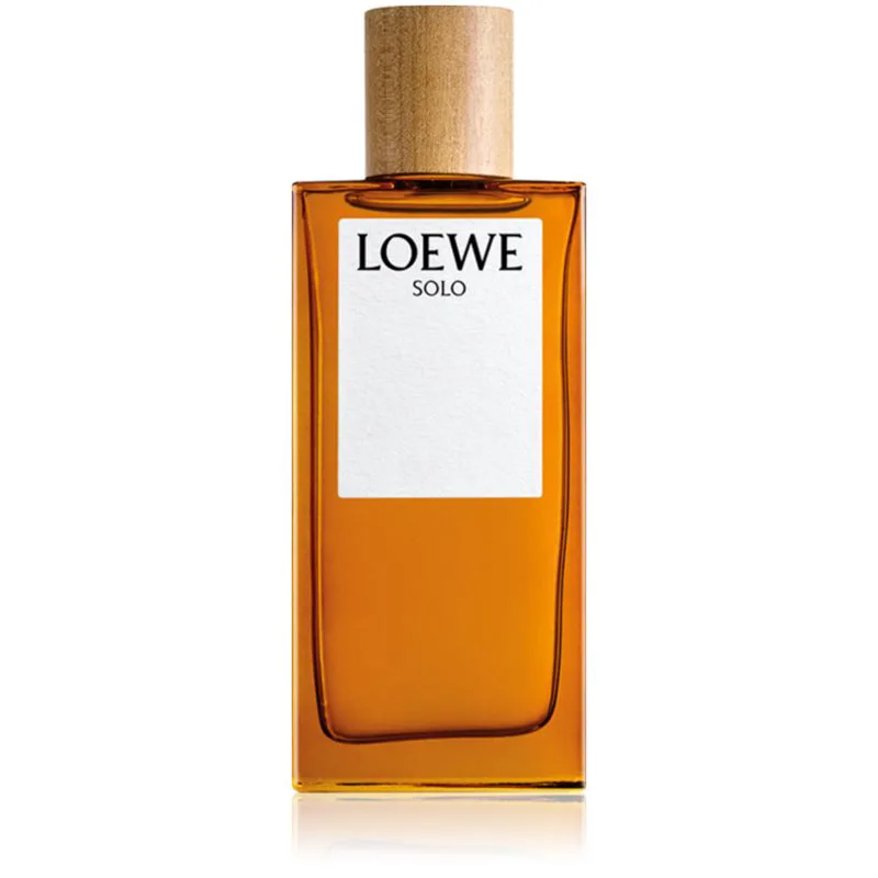 Loewe Solo Eau de Toilette για άντρες 100 ml