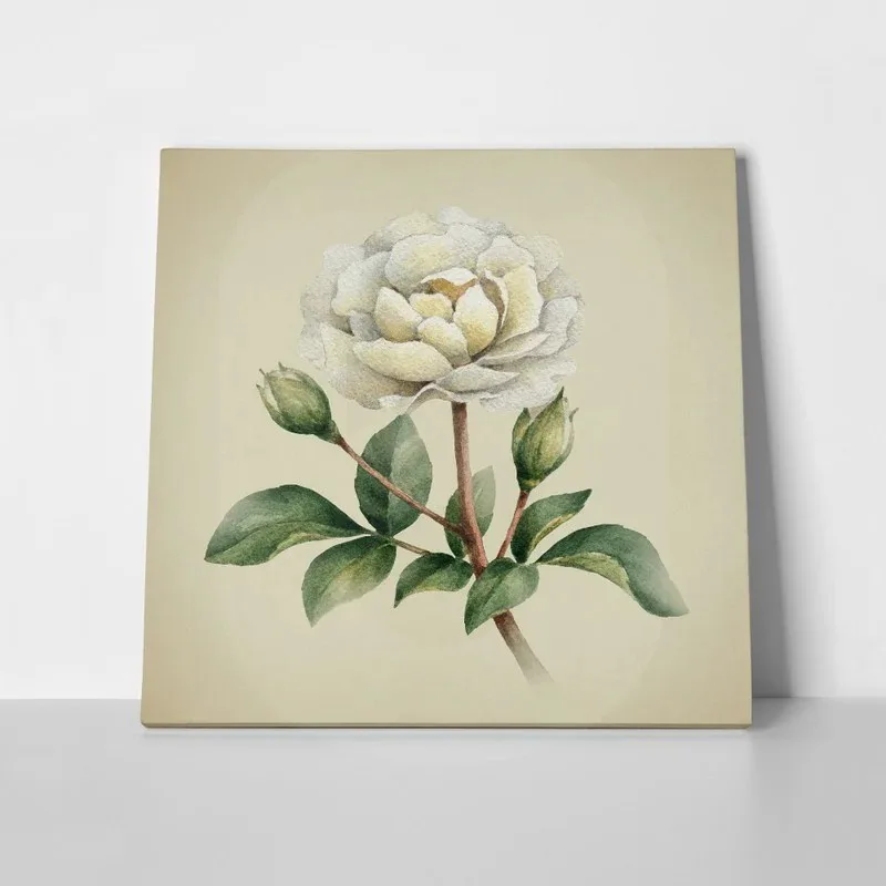 Πίνακας σε καμβά UNIQUE WATERCOLOR PEONY FLOWERS