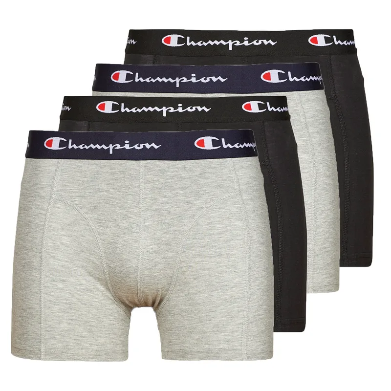 Boxer Champion BOXER X4