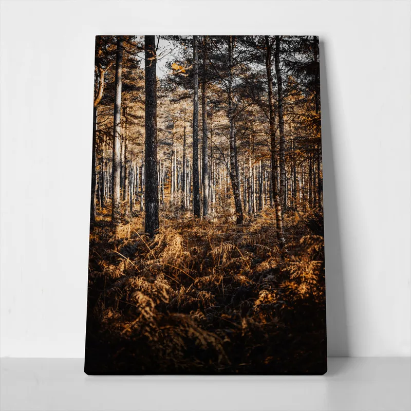 Πίνακας σε Καμβά RUSTIC FARMHOUSE FOREST TREES
