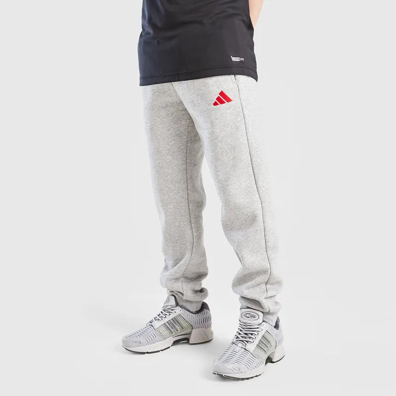 adidas Sportswear Core Fleece Παιδικό Παντελόνι Φόρμας (9000237204_7747)