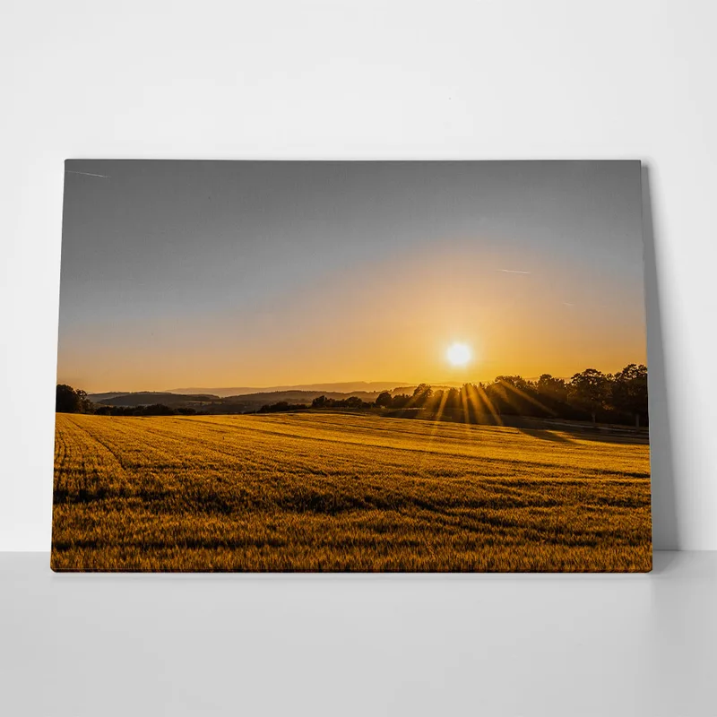 Πίνακας σε Καμβά RUSTIC FARMHOUSE FIELD 2