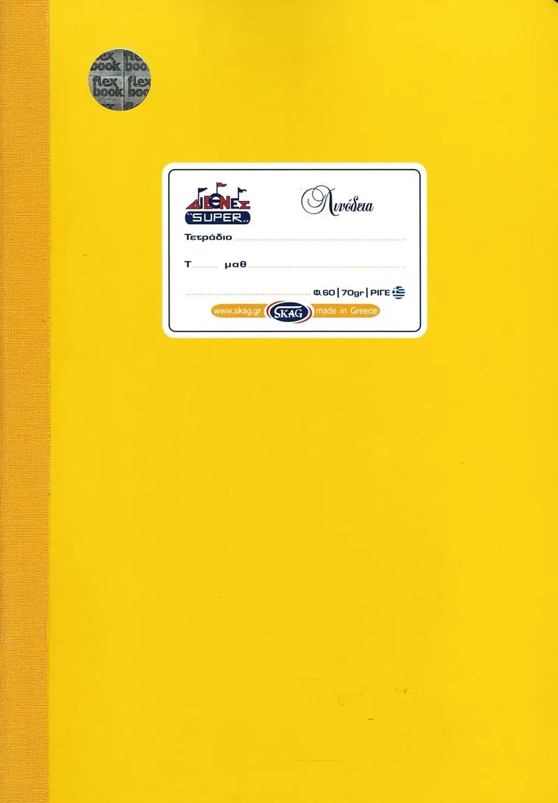 Τετράδιο λινόδετο ριγέ Skag Διεθνές Super 60 φύλλα 17x25 cm. - Κίτρινο