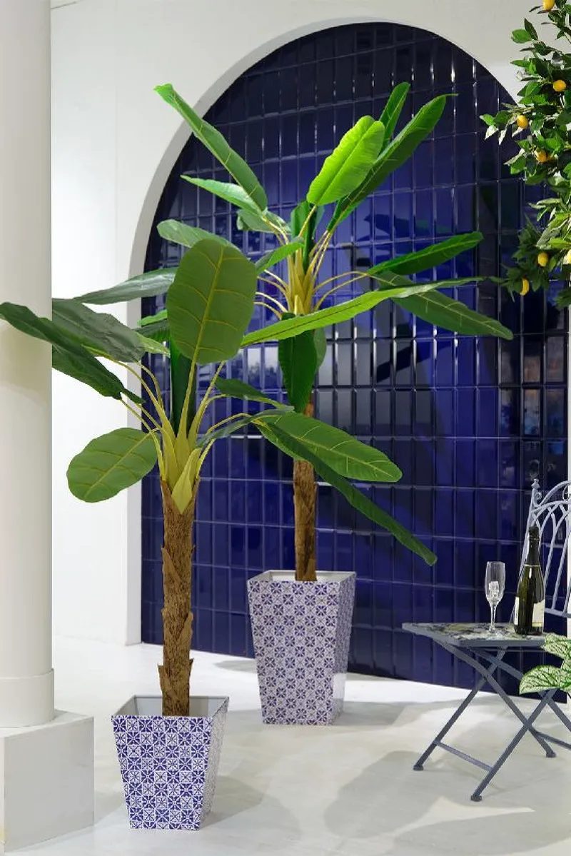 Φυτο Μπανανια Σε Γλαστρα 230Cm 120x100x230cm Μονόχρωμο Kaeming