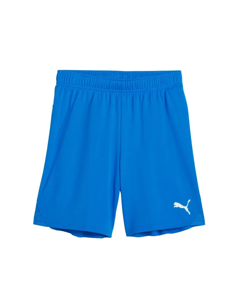 Puma Team Goal kids' shorts blue 705753 02