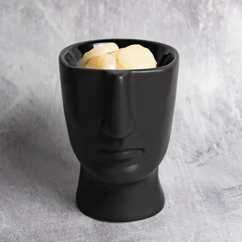 Αρωματιστής Scentchips 850141 Visage Black